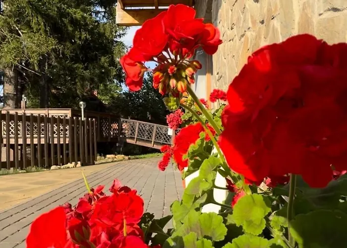 Apartament Królewna śnieżka Ii *