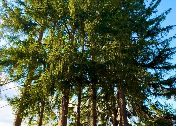 Apartament Królewna śnieżka Ii Szklarska Poręba