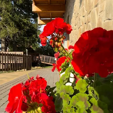 公寓 Krolewna Sniezka Ii *