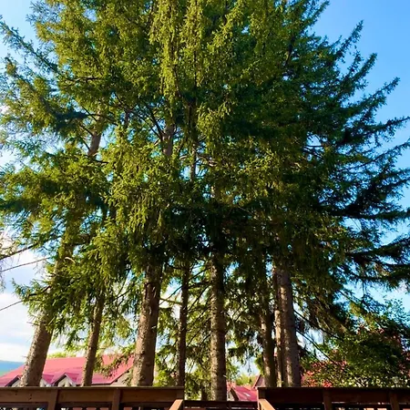 公寓 Krolewna Sniezka Ii 斯克拉斯卡波伦巴