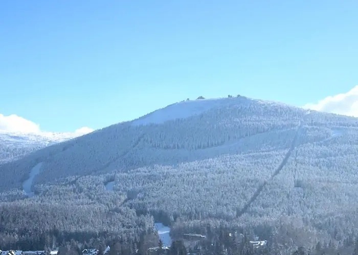 Krolewna Sniezka Ii 公寓 *